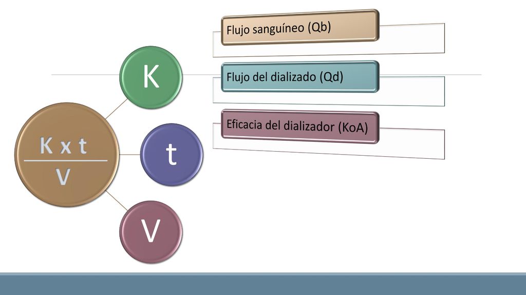 K t V K x t V Flujo sanguíneo (Qb) Flujo del dializado (Qd)