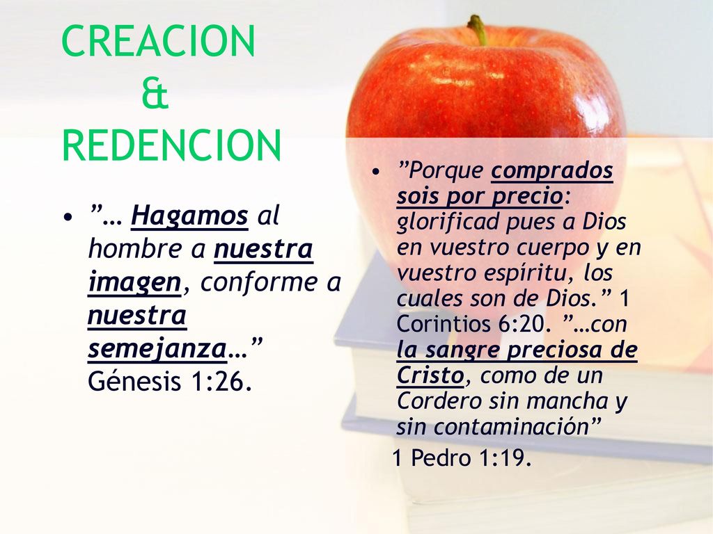 CREACION & REDENCION … Hagamos al hombre a nuestra imagen, conforme a nuestra semejanza… Génesis 1:26.