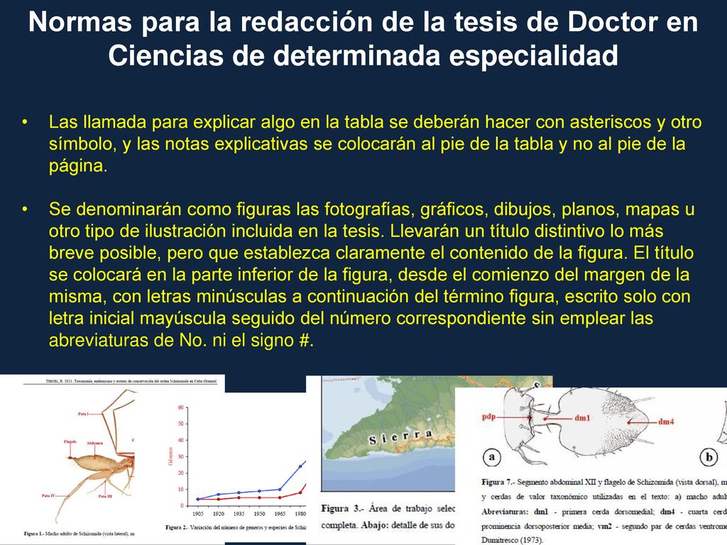 Normas para la redacción de la tesis de Doctor en Ciencias de determinada especialidad
