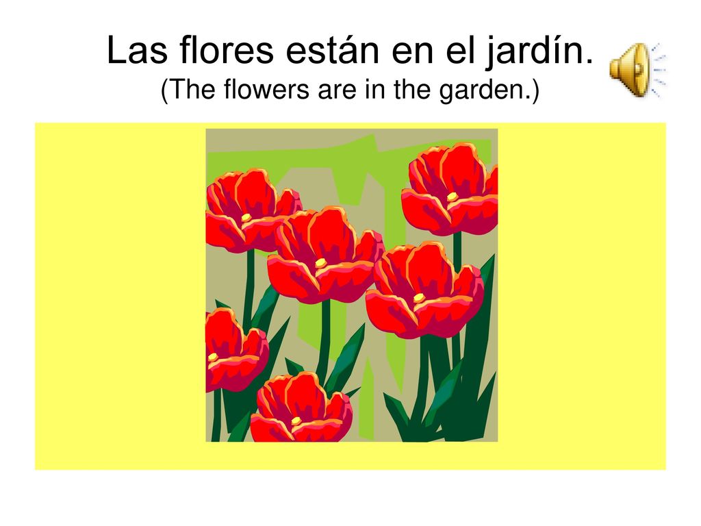 Las flores están en el jardín. (The flowers are in the garden.)