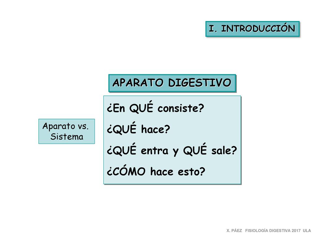 APARATO DIGESTIVO ¿En QUÉ consiste ¿QUÉ hace ¿QUÉ entra y QUÉ sale