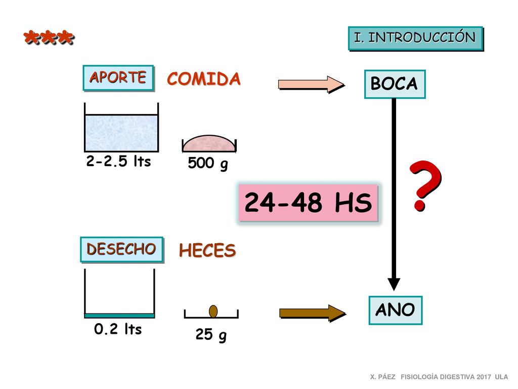 *** HS COMIDA BOCA HECES ANO APORTE lts 500 g DESECHO