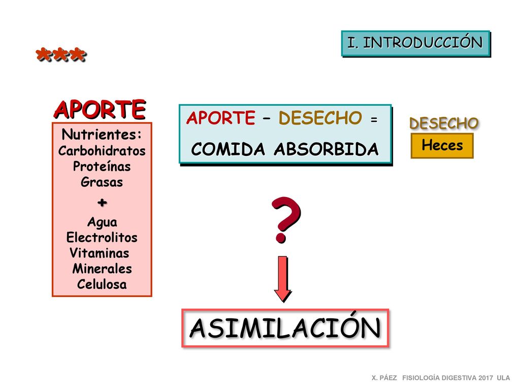 *** ASIMILACIÓN APORTE + APORTE – DESECHO = COMIDA ABSORBIDA