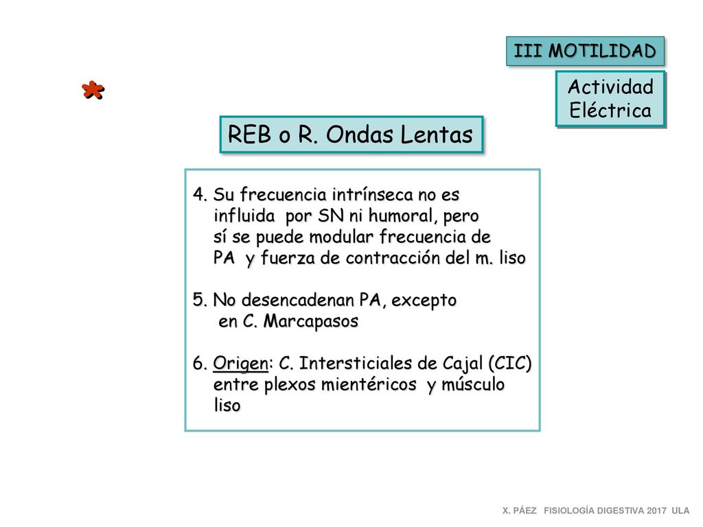 * REB o R. Ondas Lentas Actividad Eléctrica III MOTILIDAD