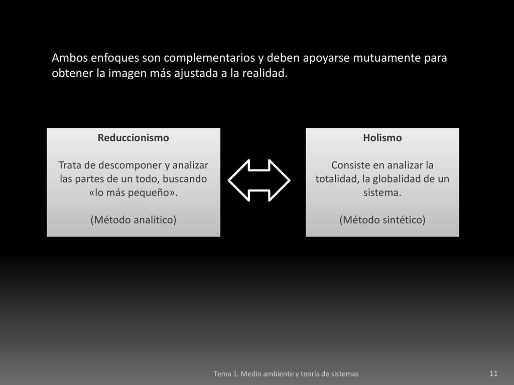 Consiste en analizar la totalidad, la globalidad de un sistema.