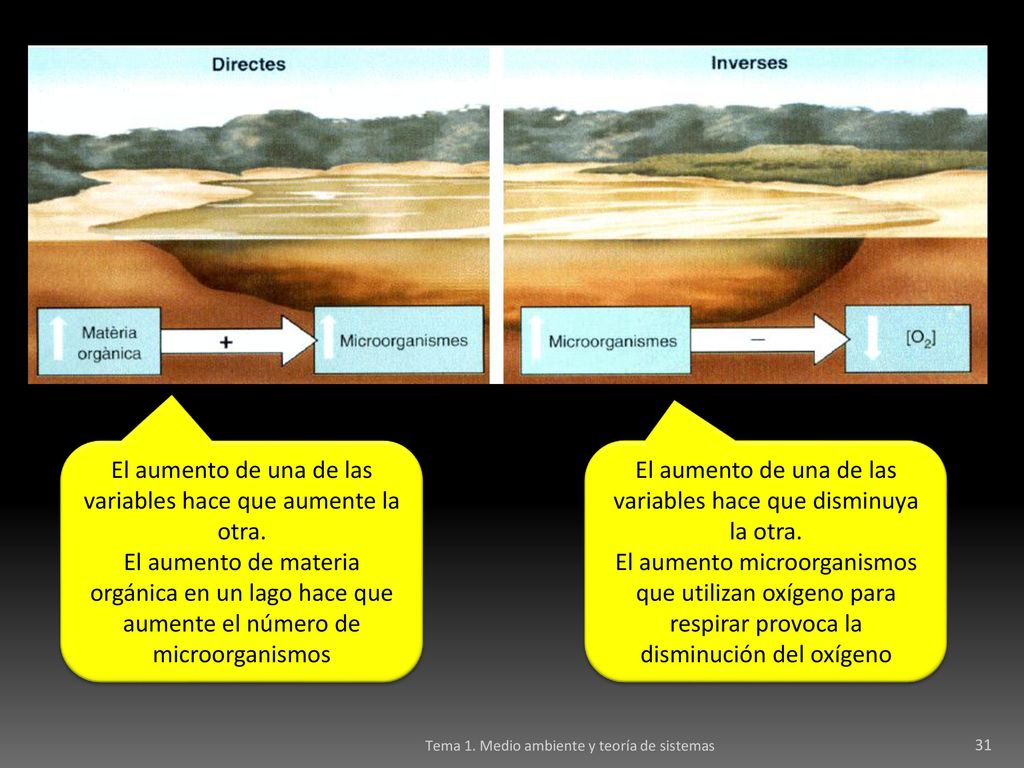 El aumento de una de las variables hace que aumente la otra.