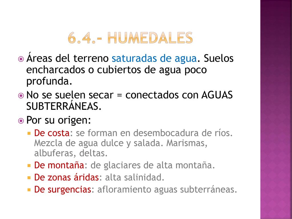 6.4.- HUMEDALES Áreas del terreno saturadas de agua. Suelos encharcados o cubiertos de agua poco profunda.