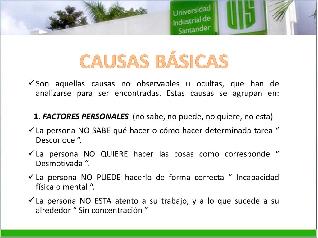 CAUSAS BÁSICAS Son aquellas causas no observables u ocultas, que han de analizarse para ser encontradas. Estas causas se agrupan en: