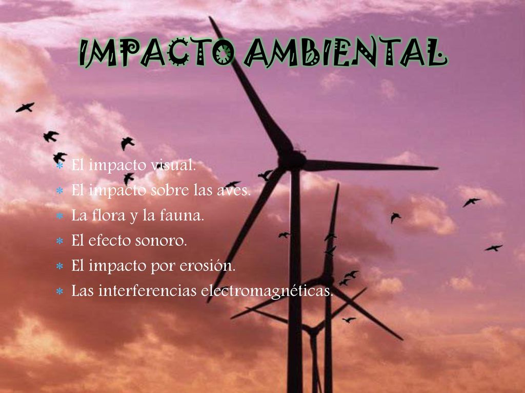 IMPACTO AMBIENTAL El impacto visual. El impacto sobre las aves.