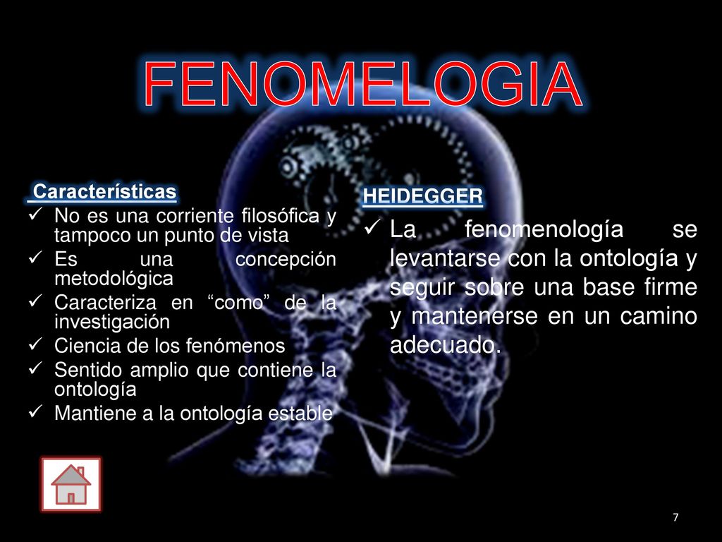 FENOMELOGIA Características. No es una corriente filosófica y tampoco un punto de vista. Es una concepción metodológica.
