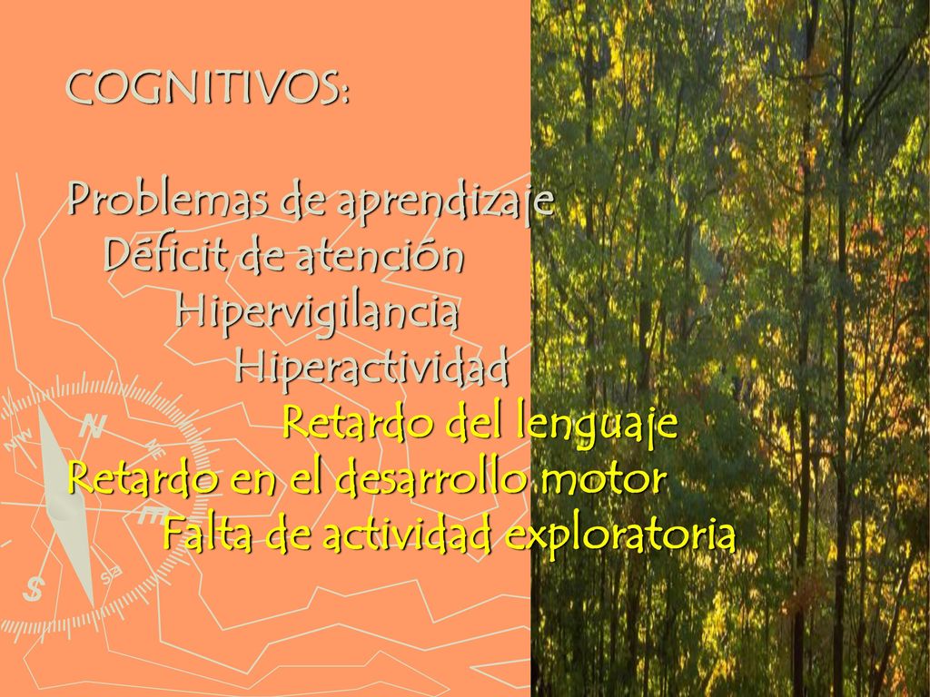 COGNITIVOS: Problemas de aprendizaje. Déficit de atención. Hipervigilancia. Hiperactividad. Retardo del lenguaje.