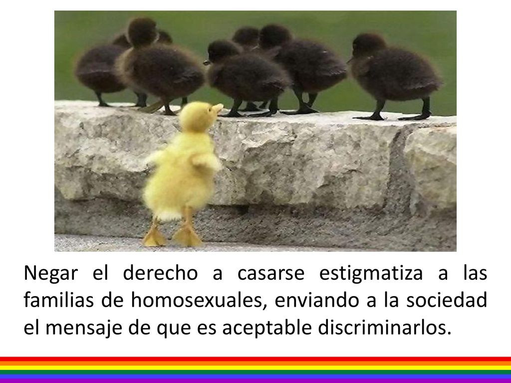 Negar el derecho a casarse estigmatiza a las familias de homosexuales, enviando a la sociedad el mensaje de que es aceptable discriminarlos.