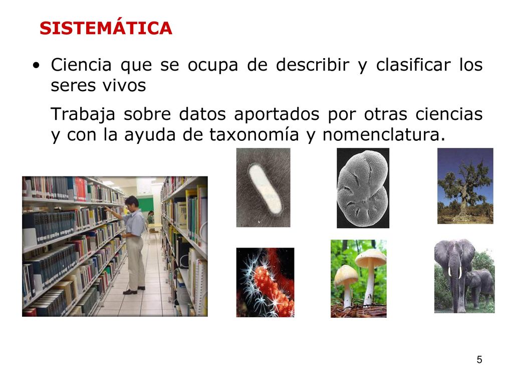 SISTEMÁTICA Ciencia que se ocupa de describir y clasificar los seres vivos.