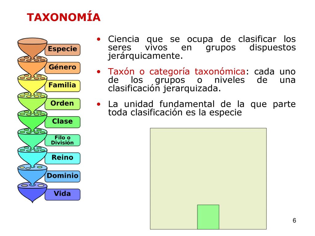 TAXONOMÍA Ciencia que se ocupa de clasificar los seres vivos en grupos dispuestos jerárquicamente.