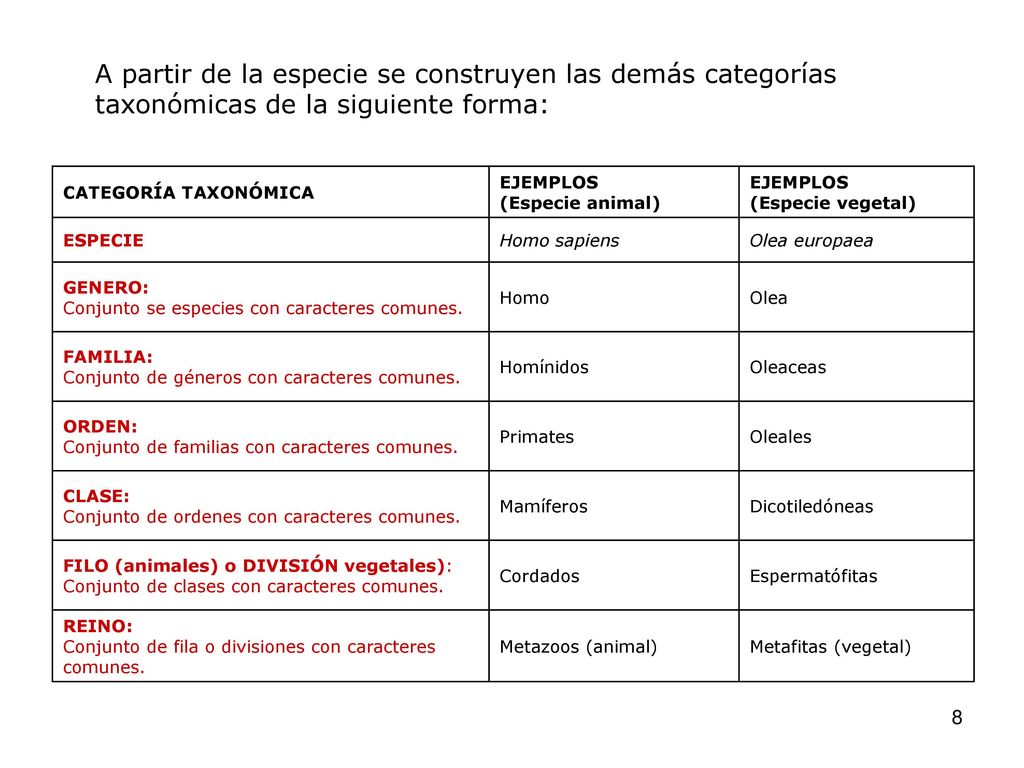 A partir de la especie se construyen las demás categorías taxonómicas de la siguiente forma: