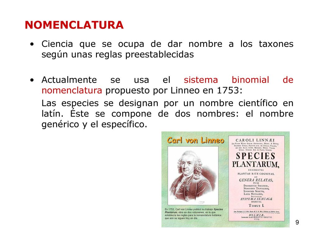 NOMENCLATURA Ciencia que se ocupa de dar nombre a los taxones según unas reglas preestablecidas.