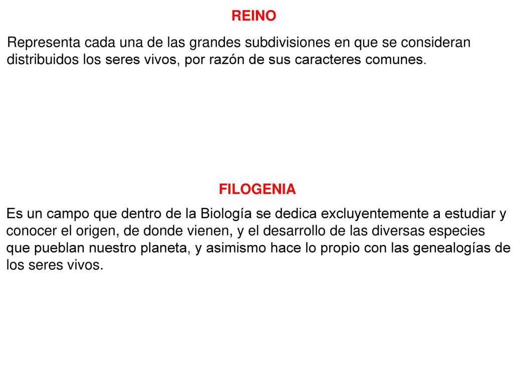 REINO Representa cada una de las grandes subdivisiones en que se consideran distribuidos los seres vivos, por razón de sus caracteres comunes.