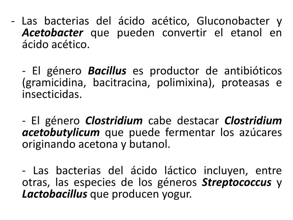- Las bacterias del ácido acético, Gluconobacter y Acetobacter que pueden convertir el etanol en ácido acético.