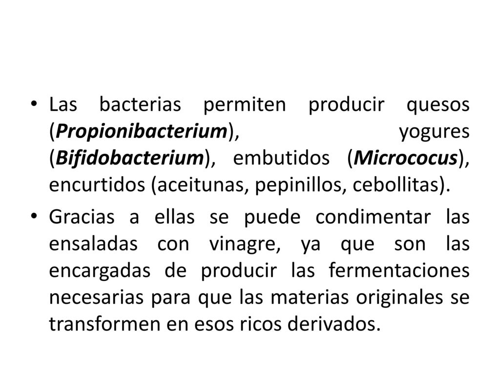 Las bacterias permiten producir quesos (Propionibacterium), yogures (Bifidobacterium), embutidos (Micrococus), encurtidos (aceitunas, pepinillos, cebollitas).