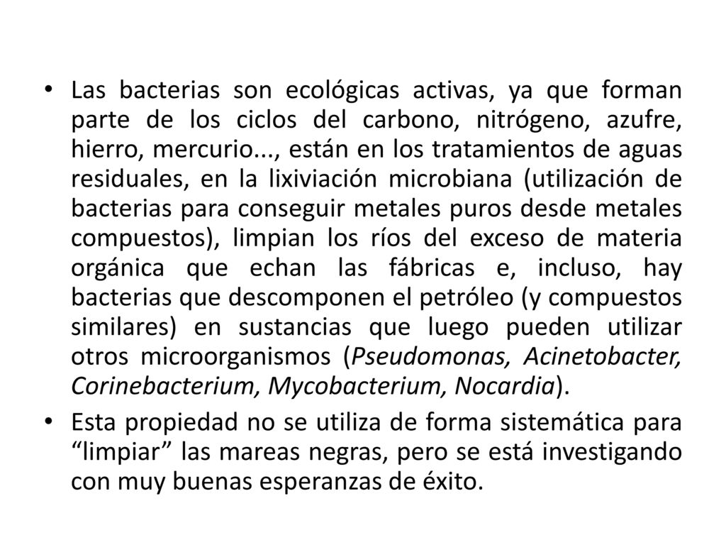 Las bacterias son ecológicas activas, ya que forman parte de los ciclos del carbono, nitrógeno, azufre, hierro, mercurio..., están en los tratamientos de aguas residuales, en la lixiviación microbiana (utilización de bacterias para conseguir metales puros desde metales compuestos), limpian los ríos del exceso de materia orgánica que echan las fábricas e, incluso, hay bacterias que descomponen el petróleo (y compuestos similares) en sustancias que luego pueden utilizar otros microorganismos (Pseudomonas, Acinetobacter, Corinebacterium, Mycobacterium, Nocardia).