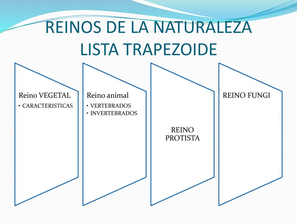 REINOS DE LA NATURALEZA LISTA TRAPEZOIDE