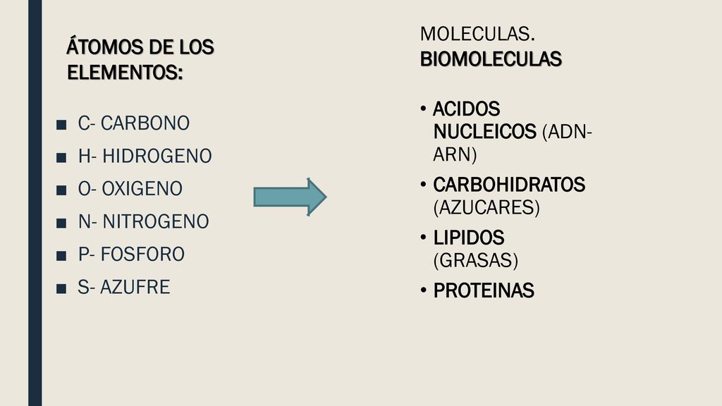 MOLECULAS. BIOMOLECULAS. ÁTOMOS DE LOS ELEMENTOS: ACIDOS NUCLEICOS (ADN- ARN) CARBOHIDRATOS (AZUCARES)