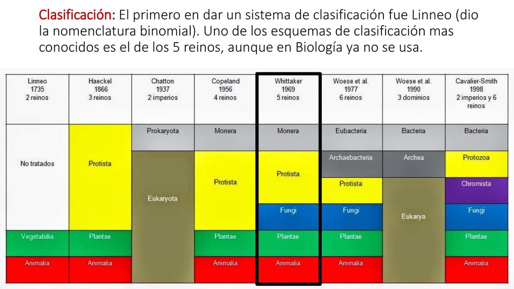 Clasificación: El primero en dar un sistema de clasificación fue Linneo (dio la nomenclatura binomial).