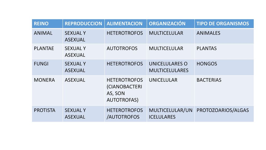 REINO REPRODUCCION. ALIMENTACION. ORGANIZACIÓN. TIPO DE ORGANISMOS. ANIMAL. SEXUAL Y ASEXUAL. HETEROTROFOS.