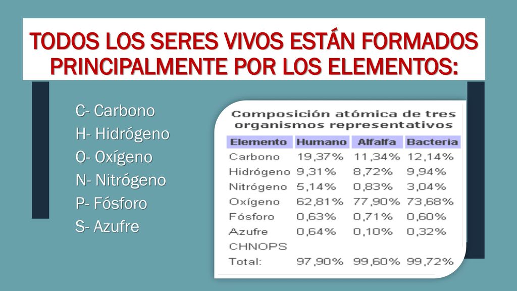 Todos los seres vivos están formados principalmente por los elementos: