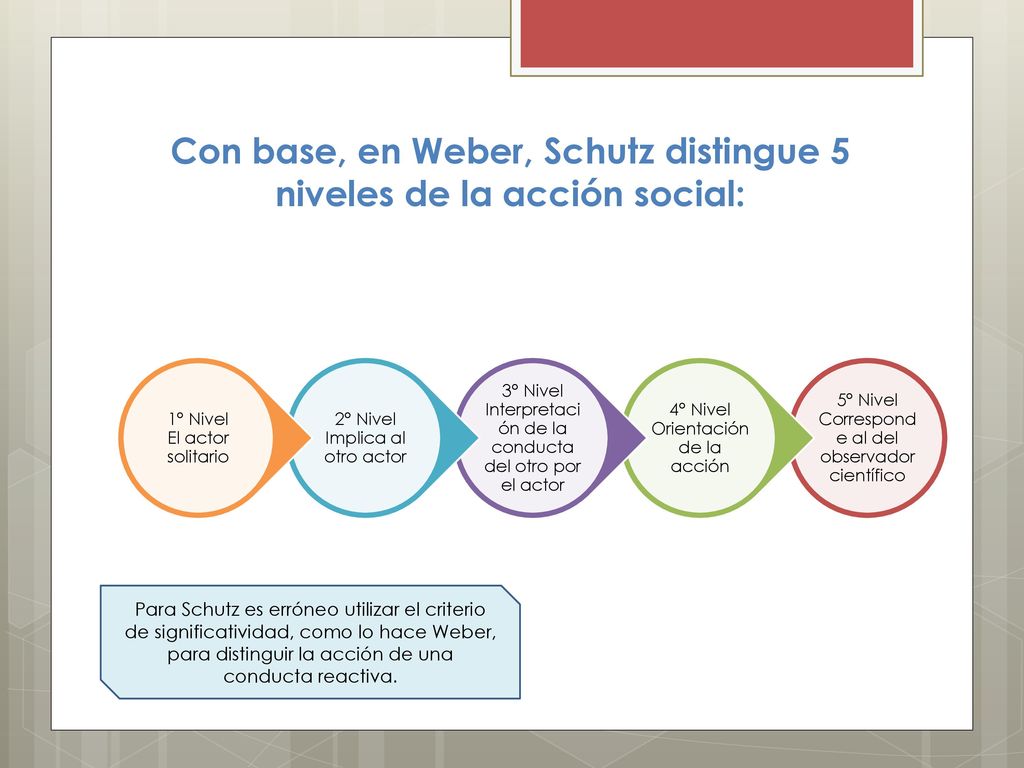 Con base, en Weber, Schutz distingue 5 niveles de la acción social: