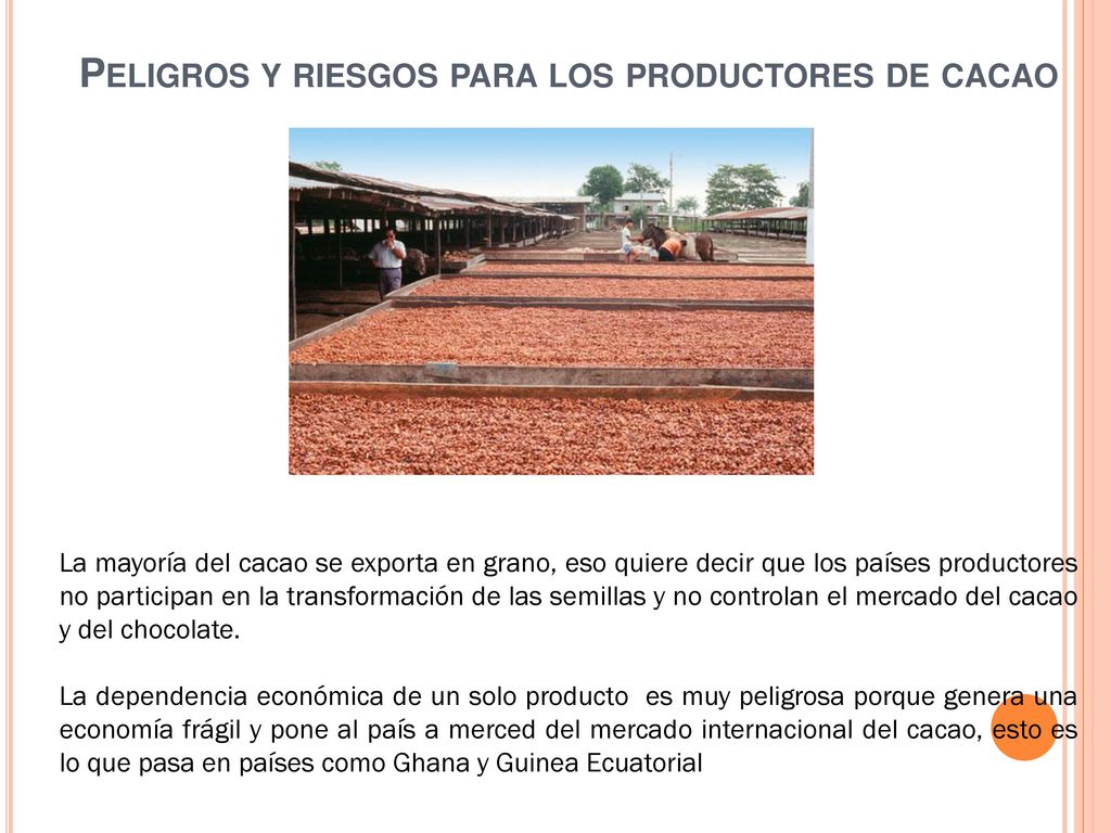 Peligros y riesgos para los productores de cacao