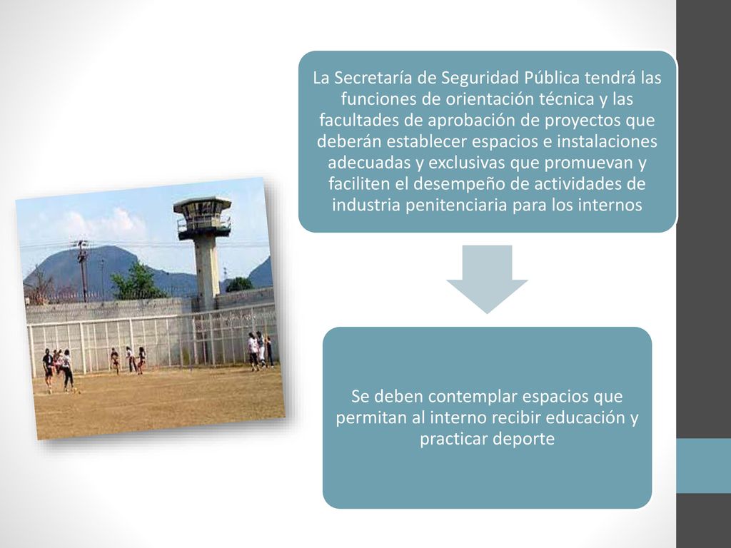 La Secretaría de Seguridad Pública tendrá las funciones de orientación técnica y las facultades de aprobación de proyectos que deberán establecer espacios e instalaciones adecuadas y exclusivas que promuevan y faciliten el desempeño de actividades de industria penitenciaria para los internos