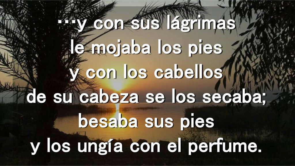 …y con sus lágrimas le mojaba los pies y con los cabellos de su cabeza se los secaba; besaba sus pies y los ungía con el perfume.