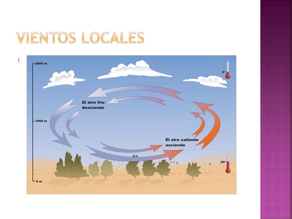 Vientos locales Vientos que cambian diariamente y siguen un patrón regular en lugares de menor extensión.
