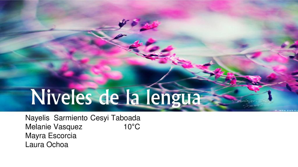Niveles de la lengua Nayelis Sarmiento Cesyi Taboada Melanie Vasquez