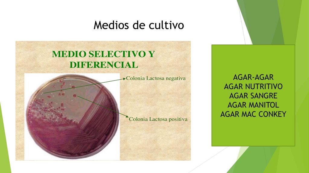 Medios de cultivo AGAR-AGAR AGAR NUTRITIVO AGAR SANGRE AGAR MANITOL