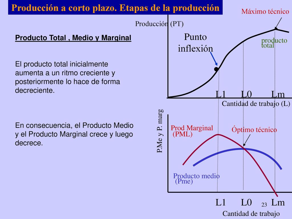 Producción a corto plazo. Etapas de la producción