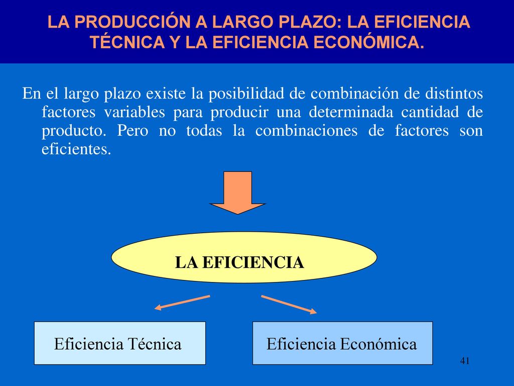 LA PRODUCCIÓN A LARGO PLAZO: LA EFICIENCIA TÉCNICA Y LA EFICIENCIA ECONÓMICA.