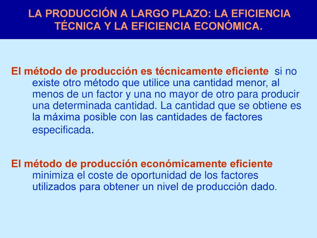 LA PRODUCCIÓN A LARGO PLAZO: LA EFICIENCIA TÉCNICA Y LA EFICIENCIA ECONÓMICA.