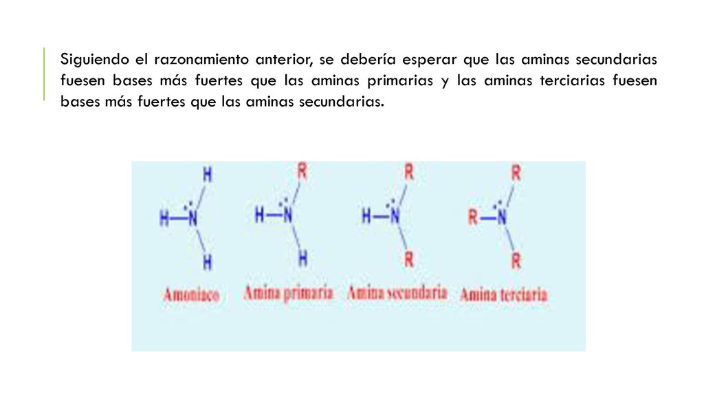 Siguiendo el razonamiento anterior, se debería esperar que las aminas secundarias fuesen bases más fuertes que las aminas primarias y las aminas terciarias fuesen bases más fuertes que las aminas secundarias.