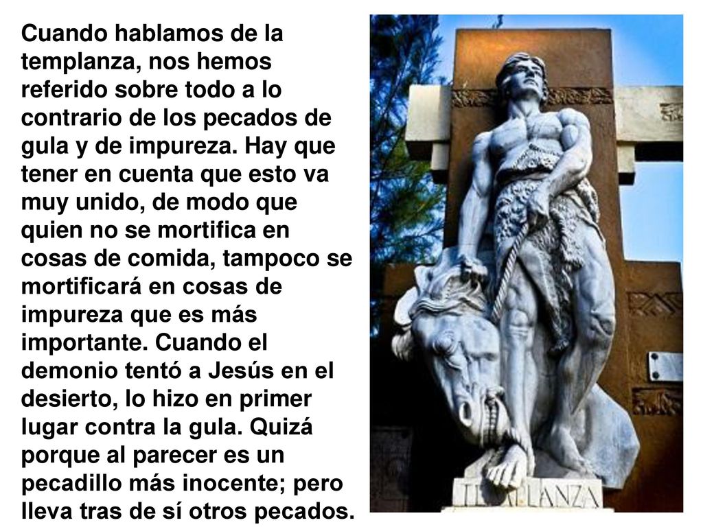 Cuando hablamos de la templanza, nos hemos referido sobre todo a lo contrario de los pecados de gula y de impureza.