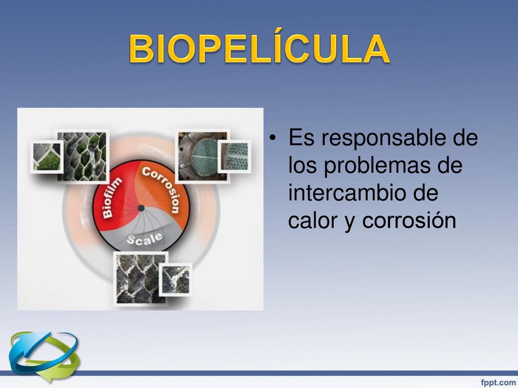 BIOPELÍCULA Es responsable de los problemas de intercambio de calor y corrosión.