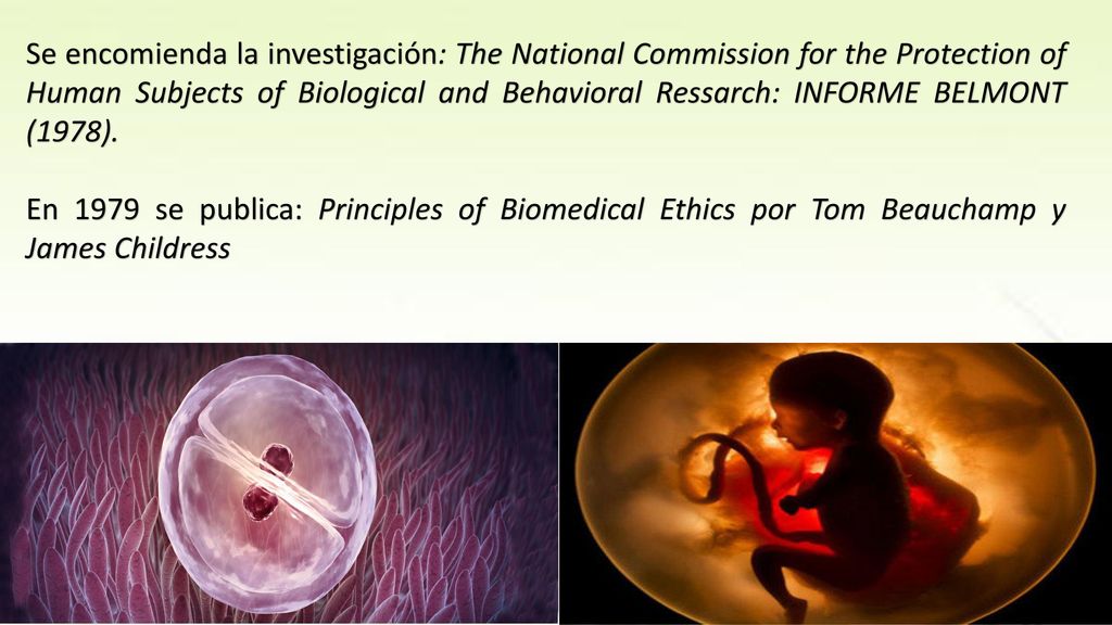 Se encomienda la investigación: The National Commission for the Protection of Human Subjects of Biological and Behavioral Ressarch: INFORME BELMONT (1978).