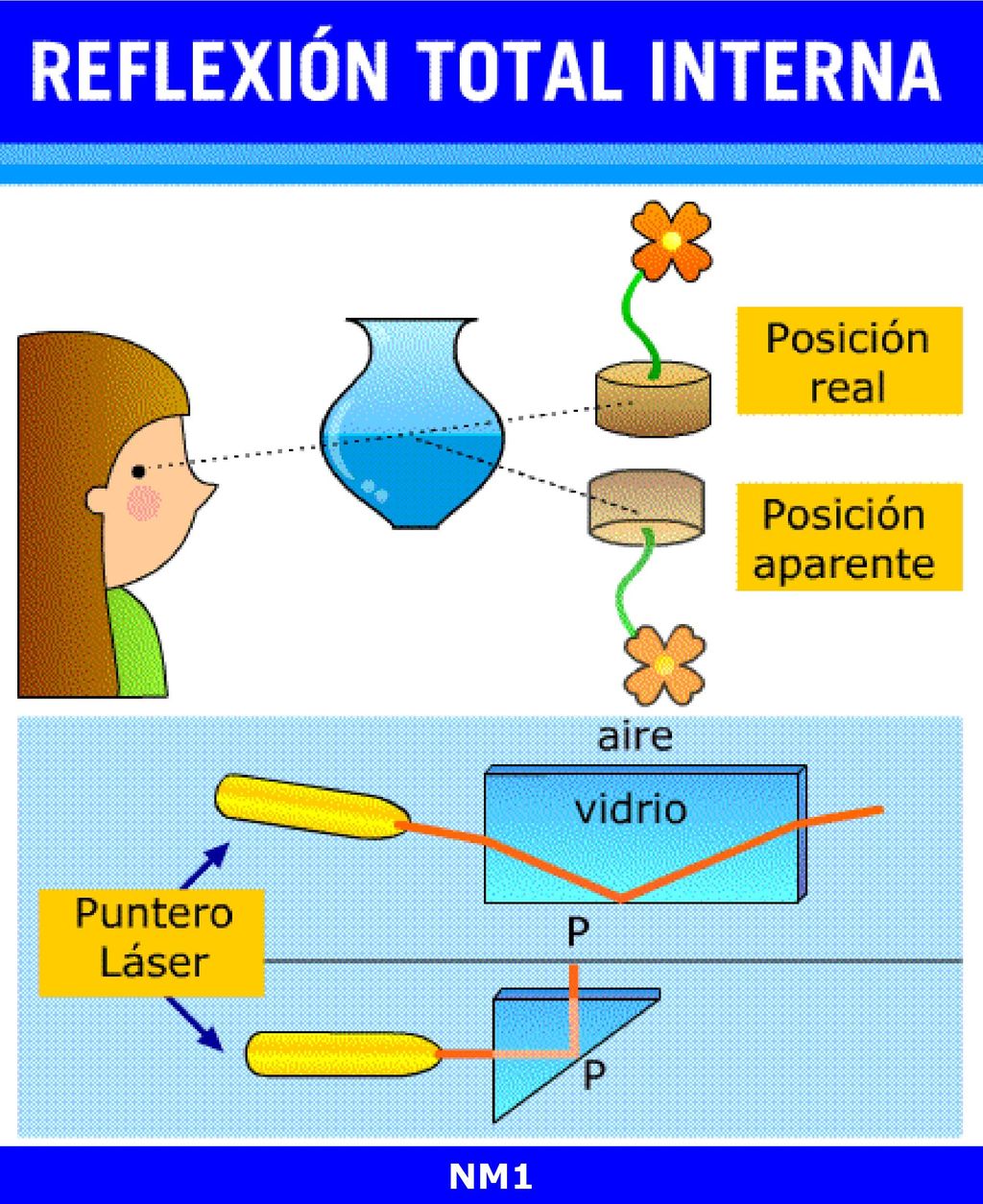 En algunos casos cuando un rayo de luz viaja por un medio e incide sobre una superficie de otro medio transparente, no pasa a él; es decir, no se refracta. El rayo se refleja como en un espejo. Este fenómeno se denomina reflexión total interna.