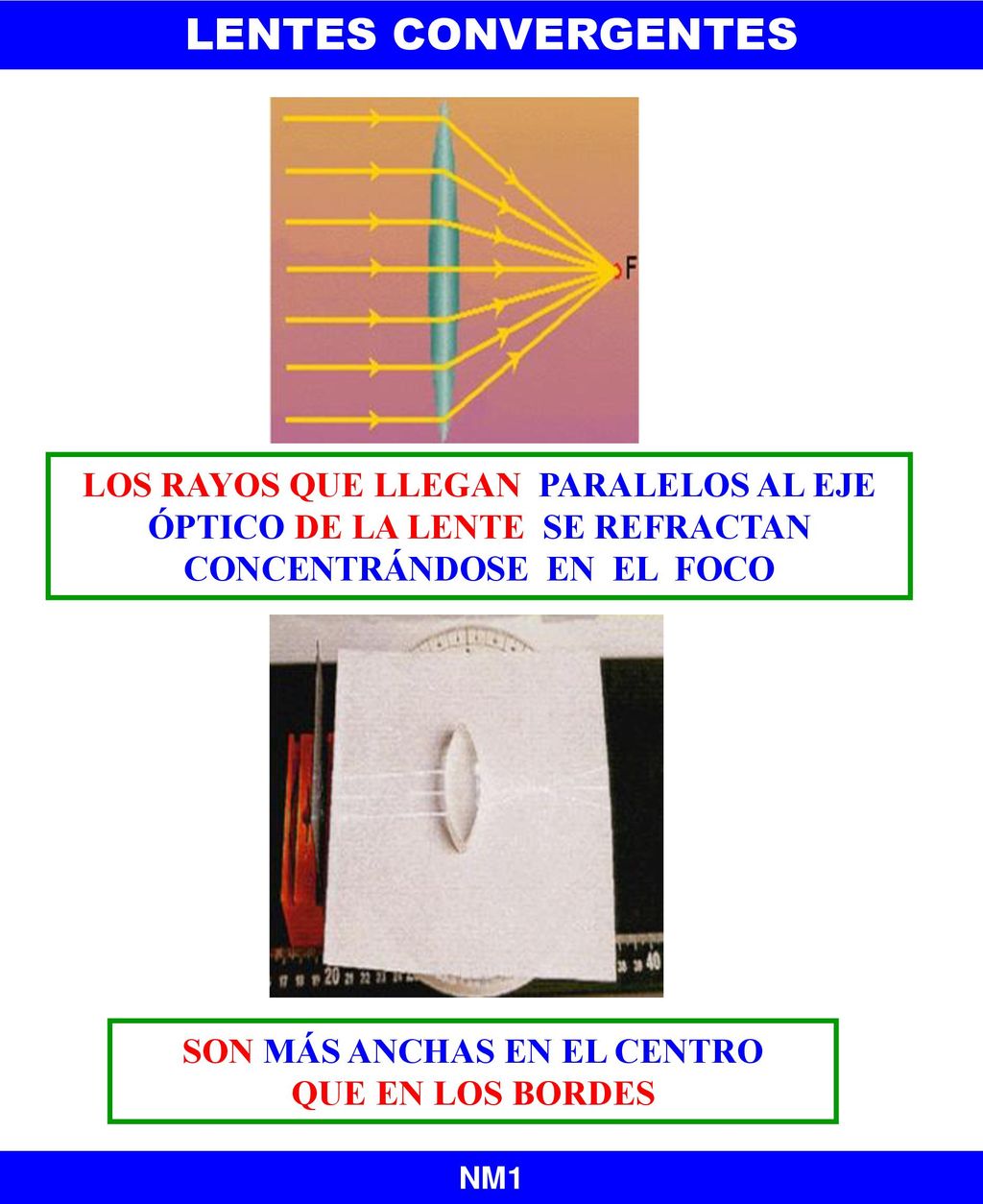 SON MÁS ANCHAS EN EL CENTRO QUE EN LOS BORDES