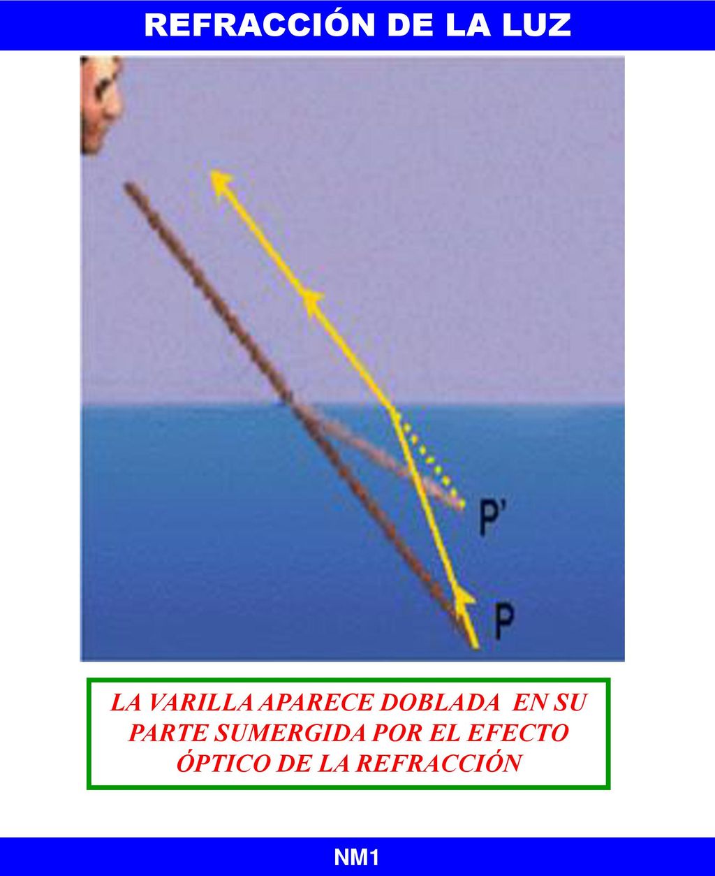 REFRACCIÓN DE LA LUZ LA VARILLA APARECE DOBLADA EN SU PARTE SUMERGIDA POR EL EFECTO ÓPTICO DE LA REFRACCIÓN.