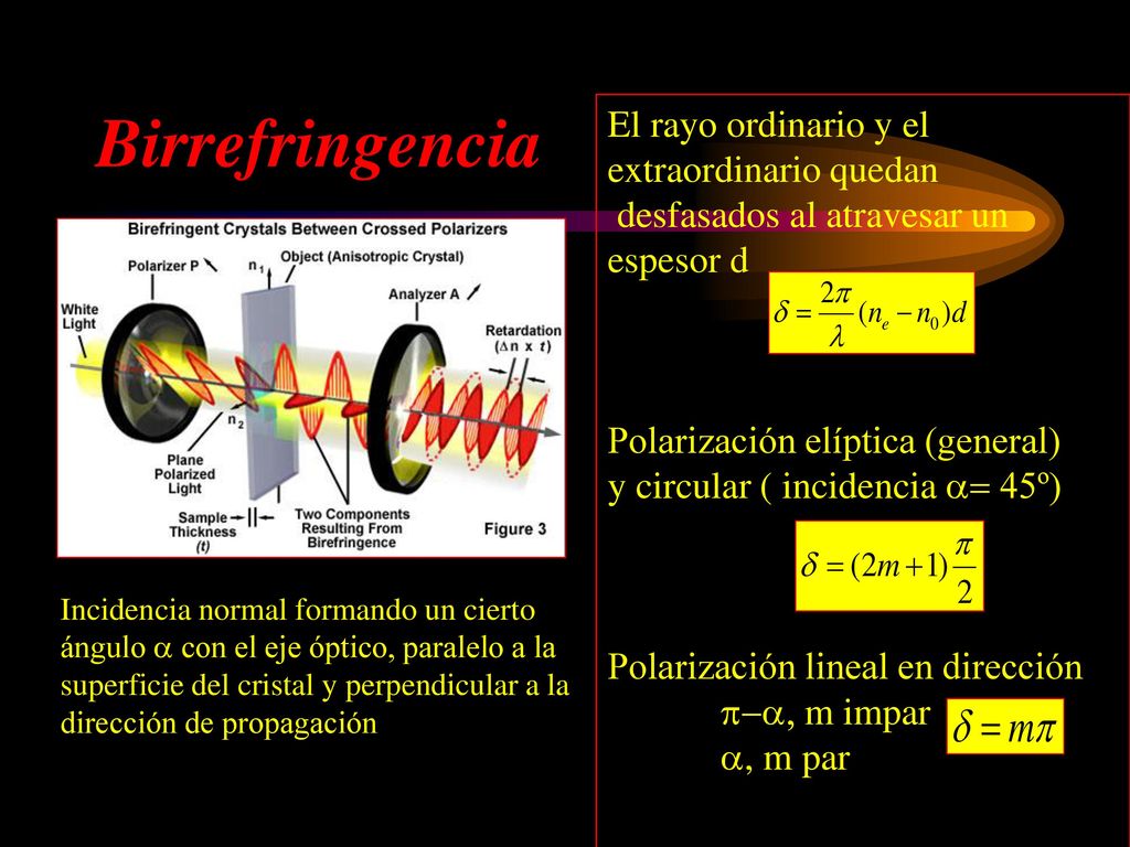 Birrefringencia El rayo ordinario y el extraordinario quedan