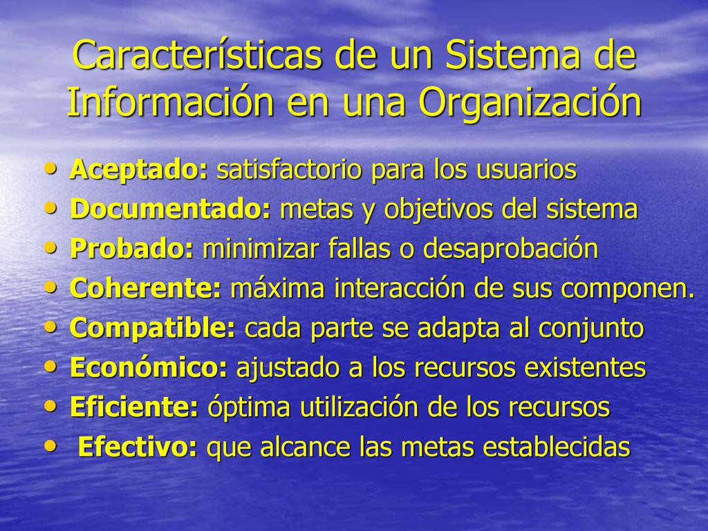 Características de un Sistema de Información en una Organización