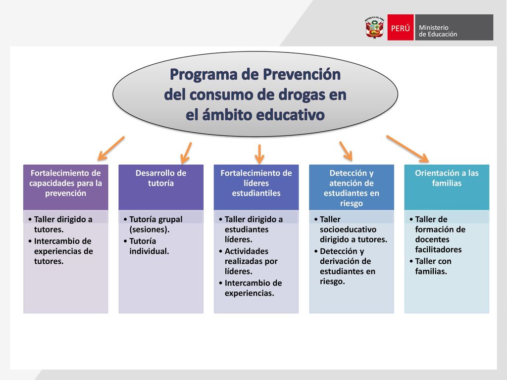 Programa de Prevención del consumo de drogas en el ámbito educativo
