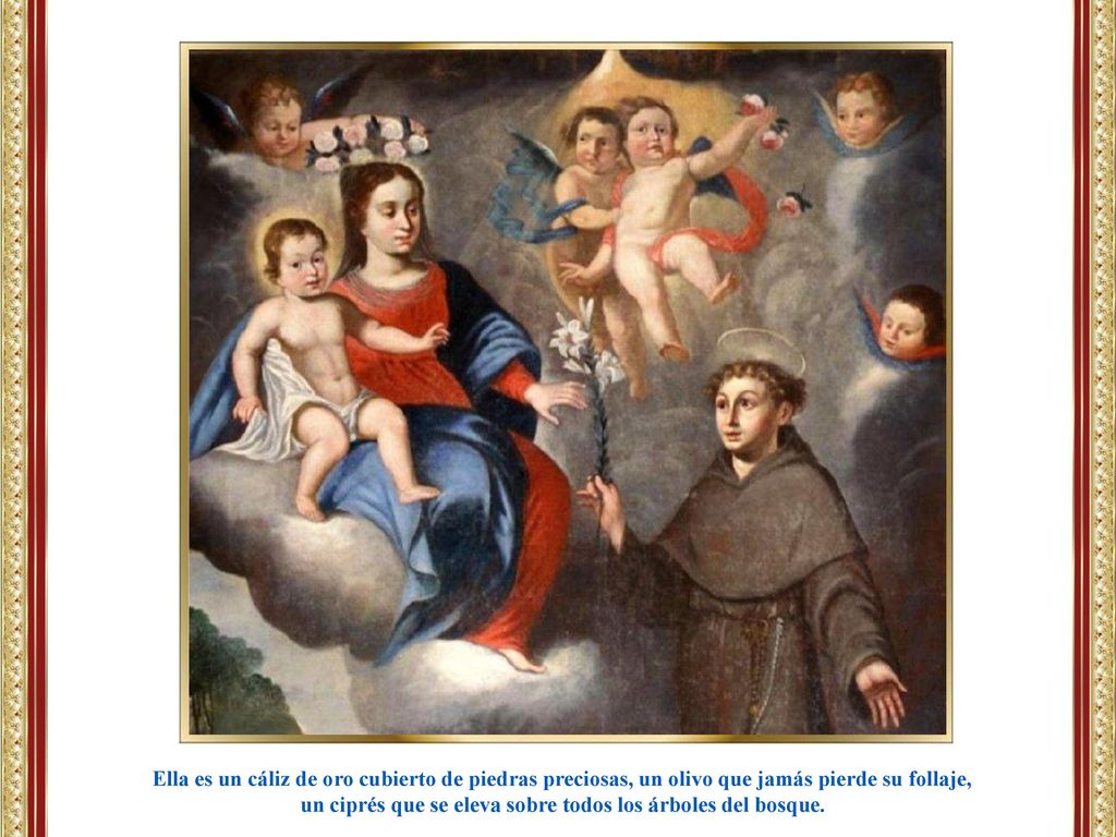 un ciprés que se eleva sobre todos los árboles del bosque.